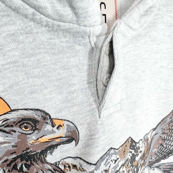 NWT BDG Urban Outfitters Bonfire Washed Hawk Eagle Mountain Graphic Hoodie L - Picture 5 of 11
